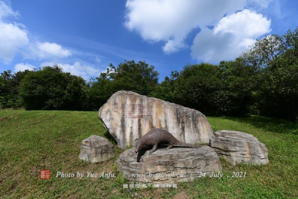 百里杜鹃风景区