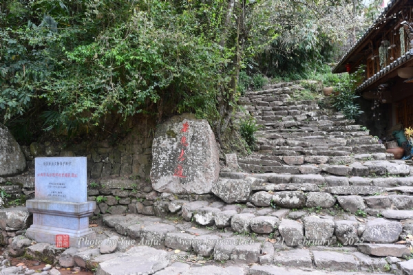 那柯里茶马古道