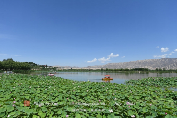 白银黄河湿地公园