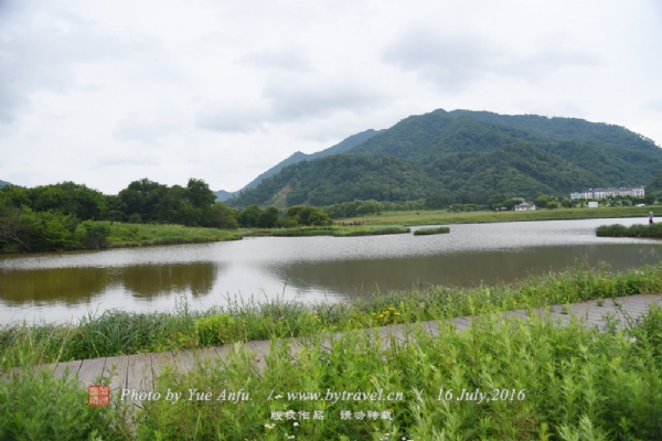 九湖镇