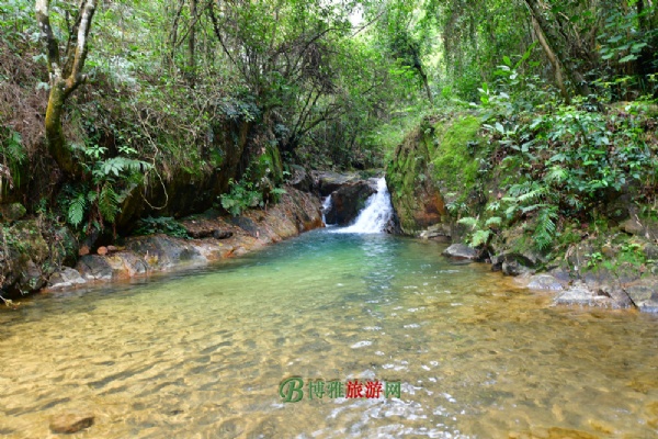 王子山森林公园