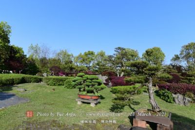 花卉、盆景