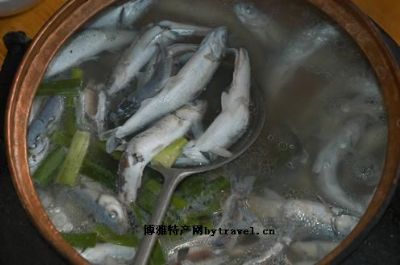 明星蘸水食洞鱼